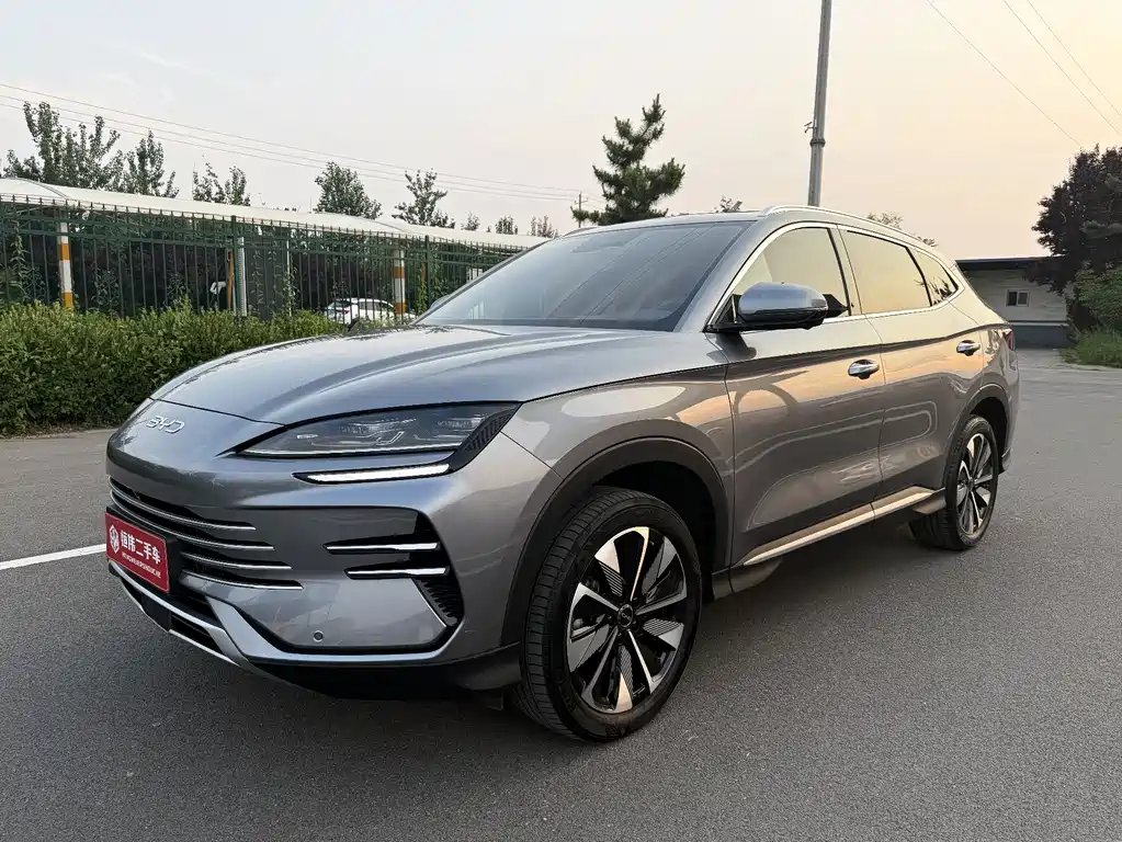 BYD PLUS New Energy 2024