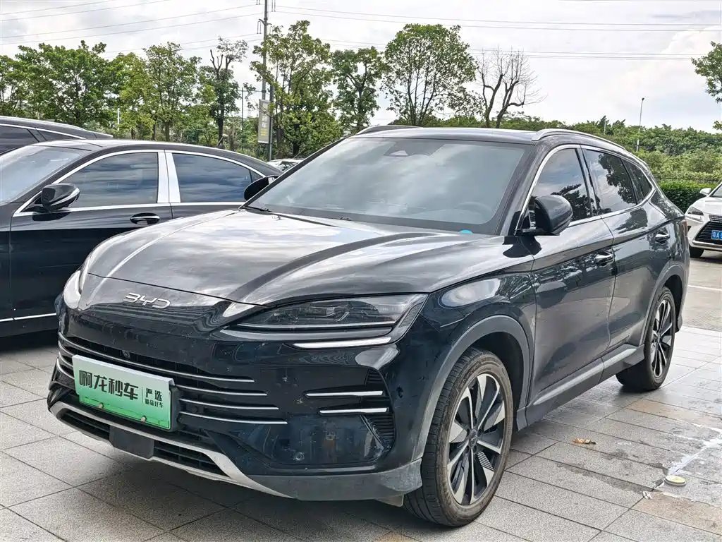 BYD PLUS New Energy 2024