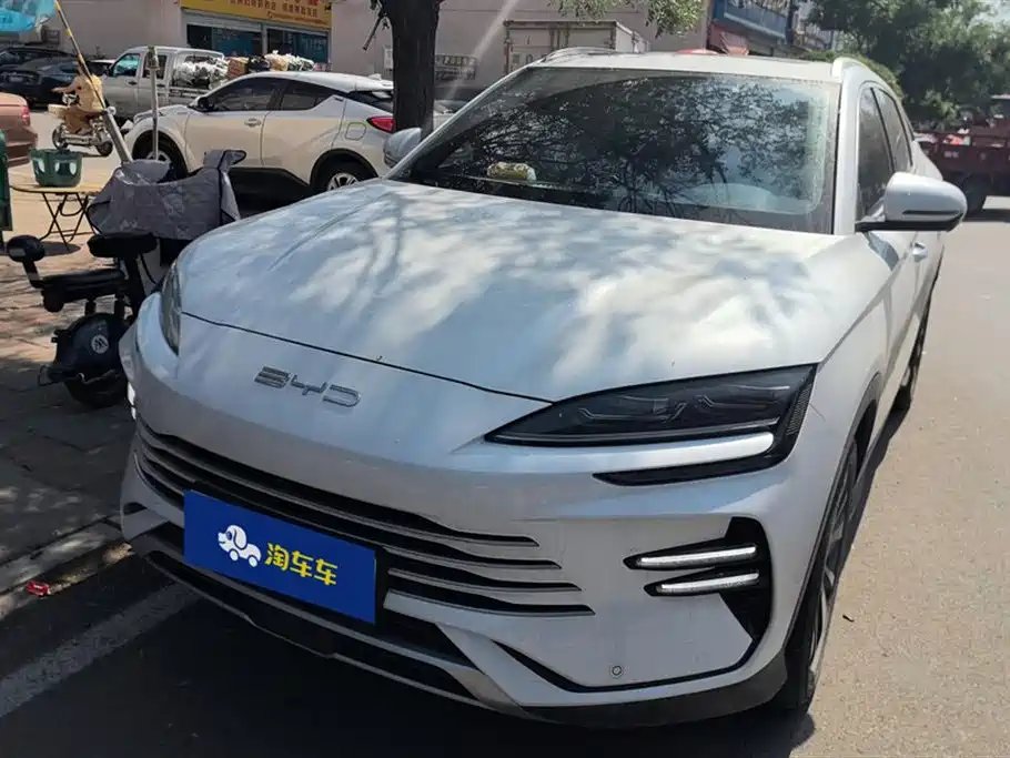 BYD PLUS New Energy 2024
