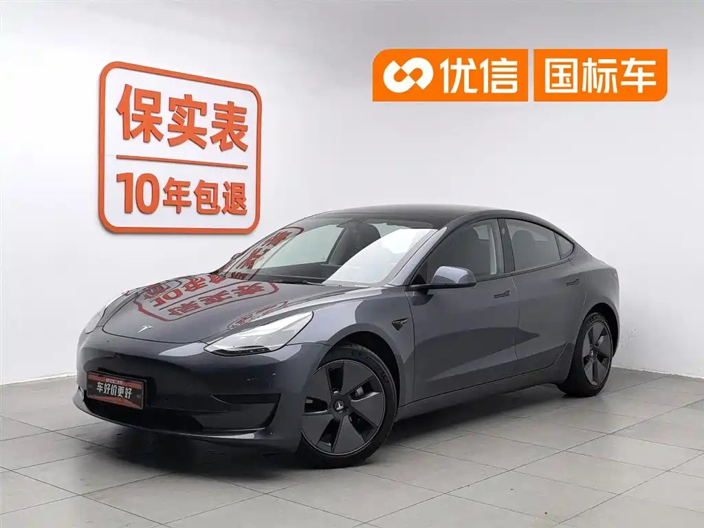 Tesla Model 3 2021