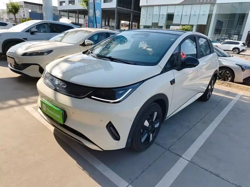 BYD Dolphin 2026