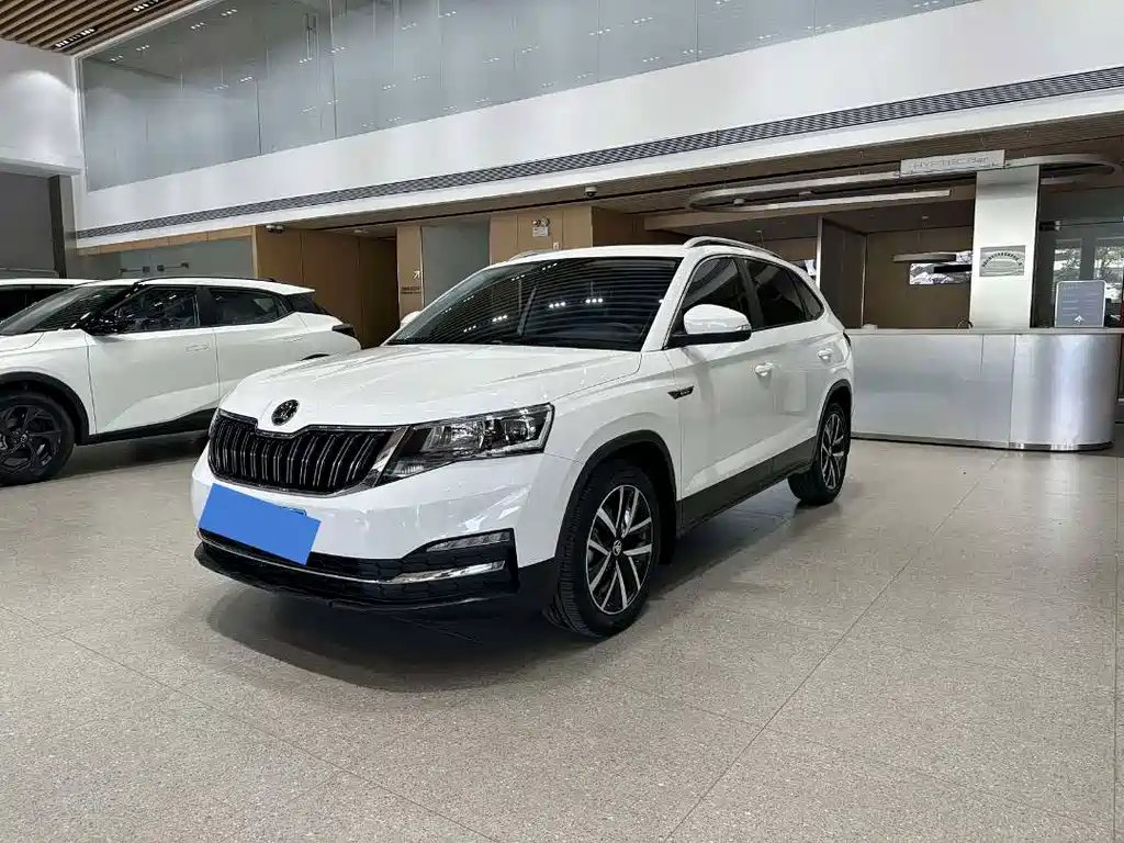 Skoda Kamiq 2022 — фото 1 из 5