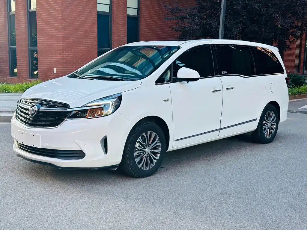 Buick GL8 2020 — фото 1 из 5