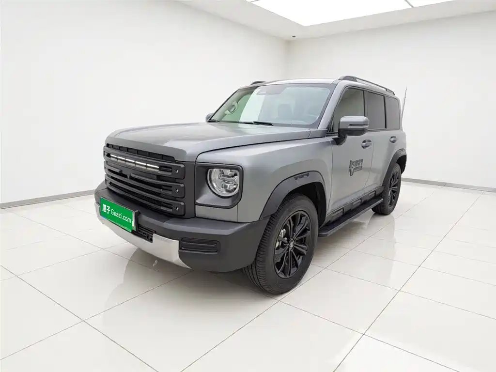 Haval Menglong New Energy 2025