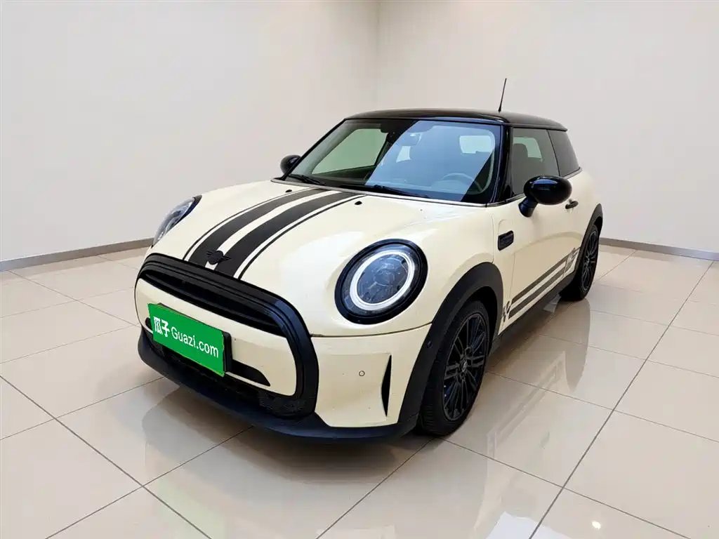 Mini Mini 2022