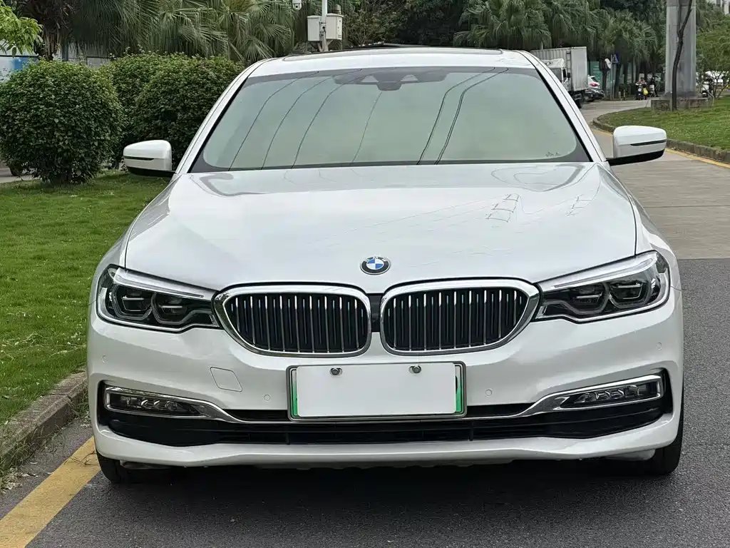 BMW 5 Series New Energy 2018