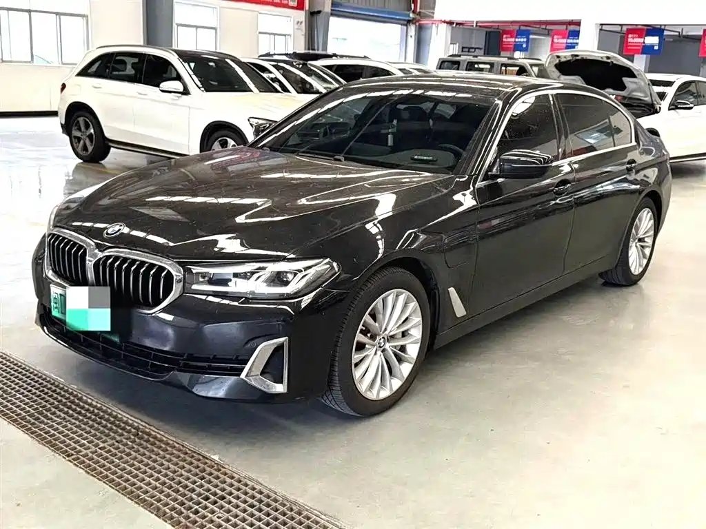 BMW 5 Series New Energy 2020