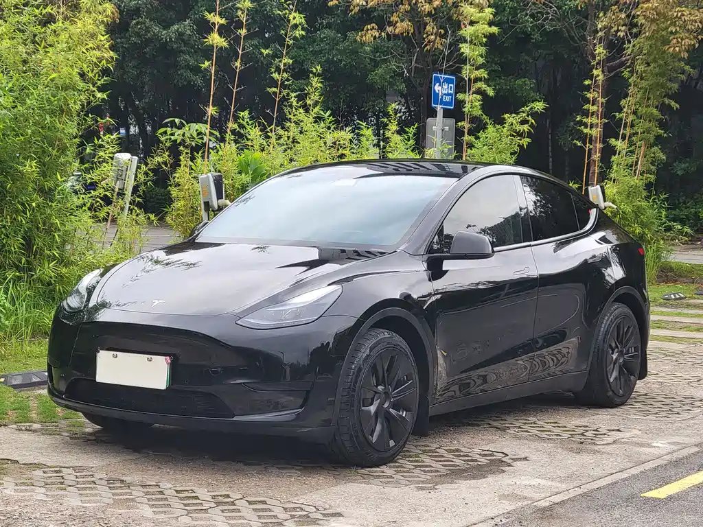 Tesla Model Y 2023 — фото 1 из 5