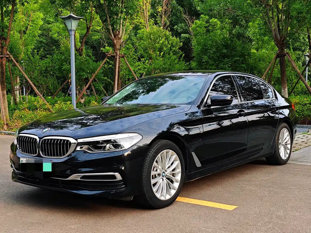 BMW 5 Series New Energy 2020