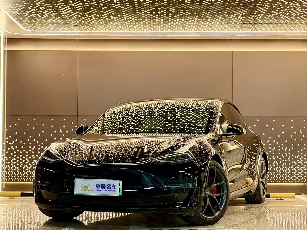 Tesla Model 3 2021