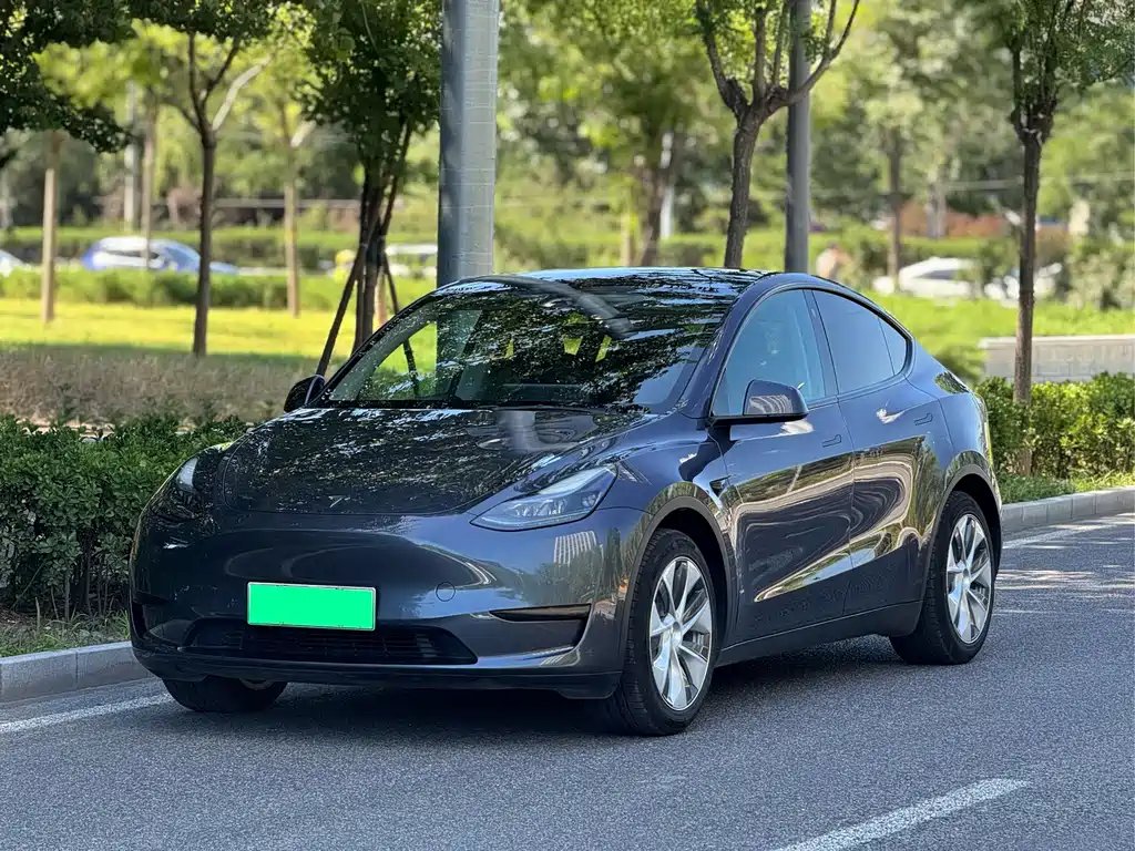 Tesla Model Y 2022 — фото 1 из 5