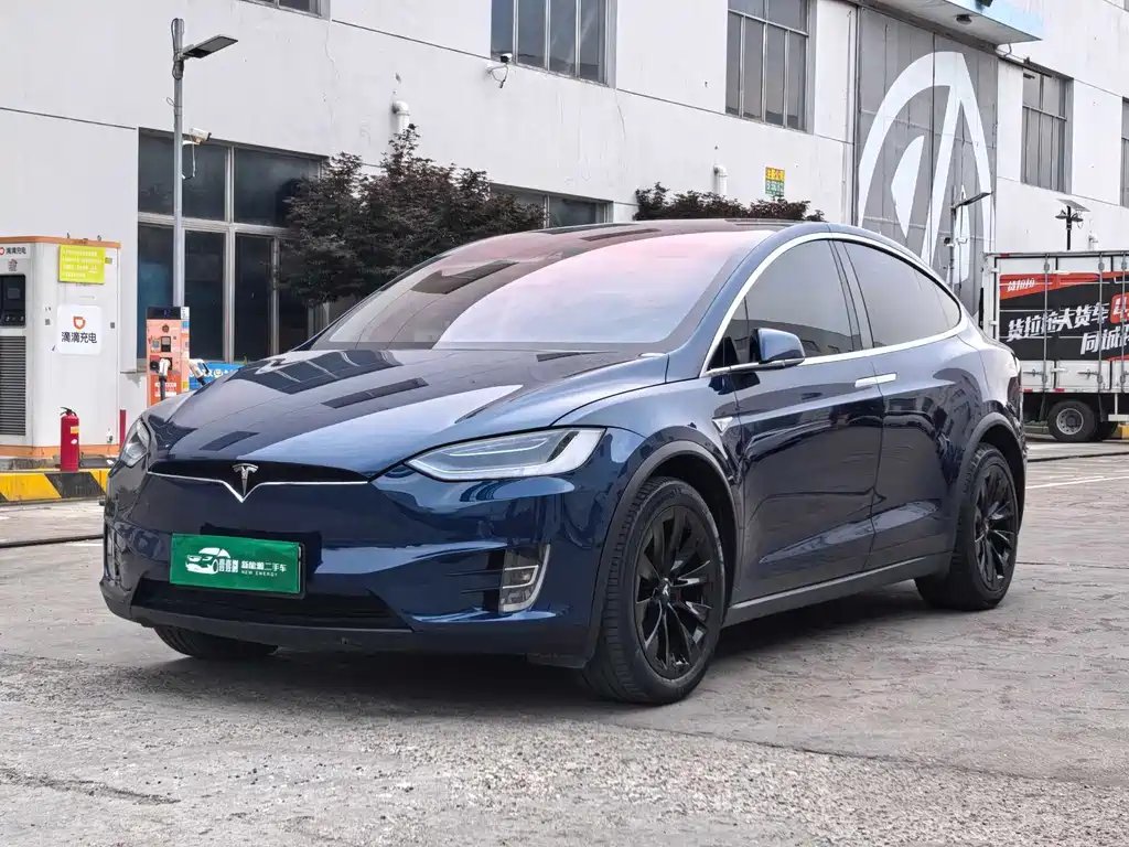 Tesla Model X 2016 — фото 1 из 5