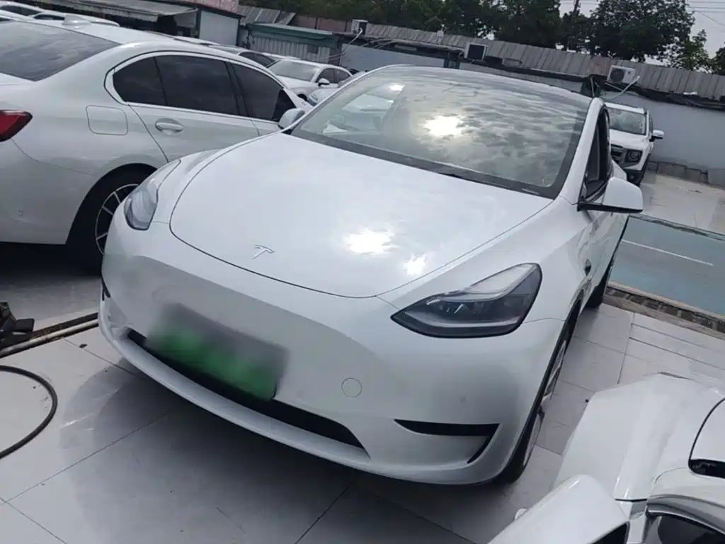 Tesla Model Y 2023 — фото 1 из 5