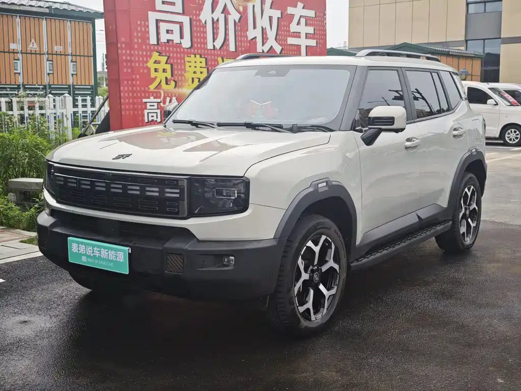 Shanhai Shanhai T1 2024 — фото 1 из 5