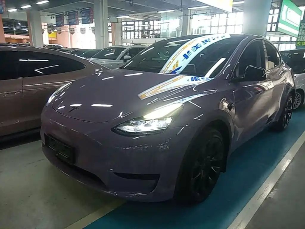 Tesla Model Y 2023 — фото 1 из 5