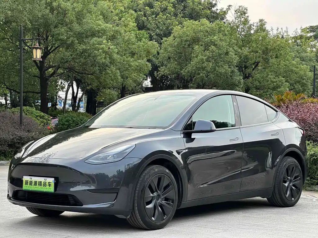 Tesla Model Y 2024 — фото 1 из 5