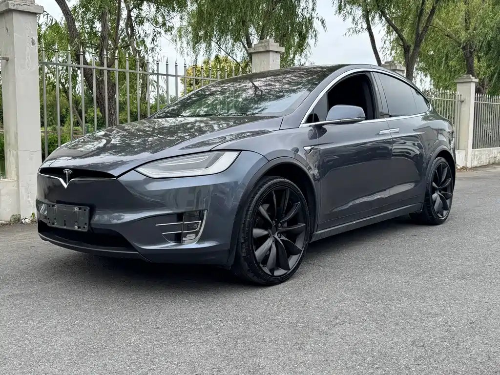 Tesla Model X 2021 — фото 1 из 5
