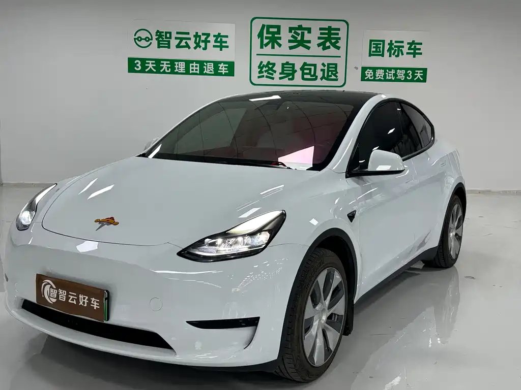 Tesla Model Y 2023 — фото 1 из 5