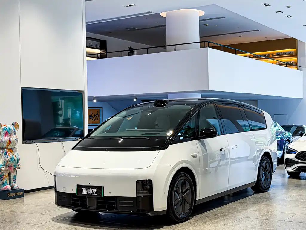 Li Auto Li MEGA 2025 — фото 1 из 5