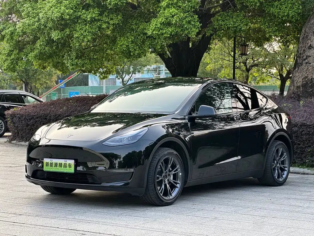 Tesla Model Y 2024 — фото 1 из 5