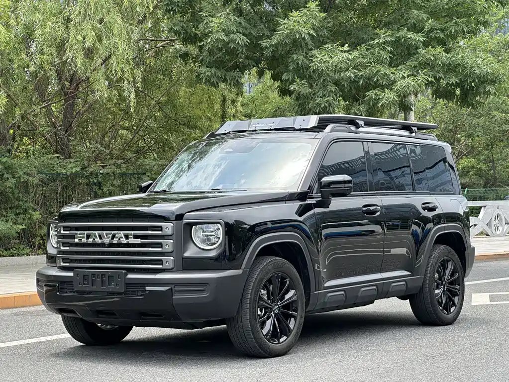 Haval Menglong New Energy 2024 — фото 1 из 5