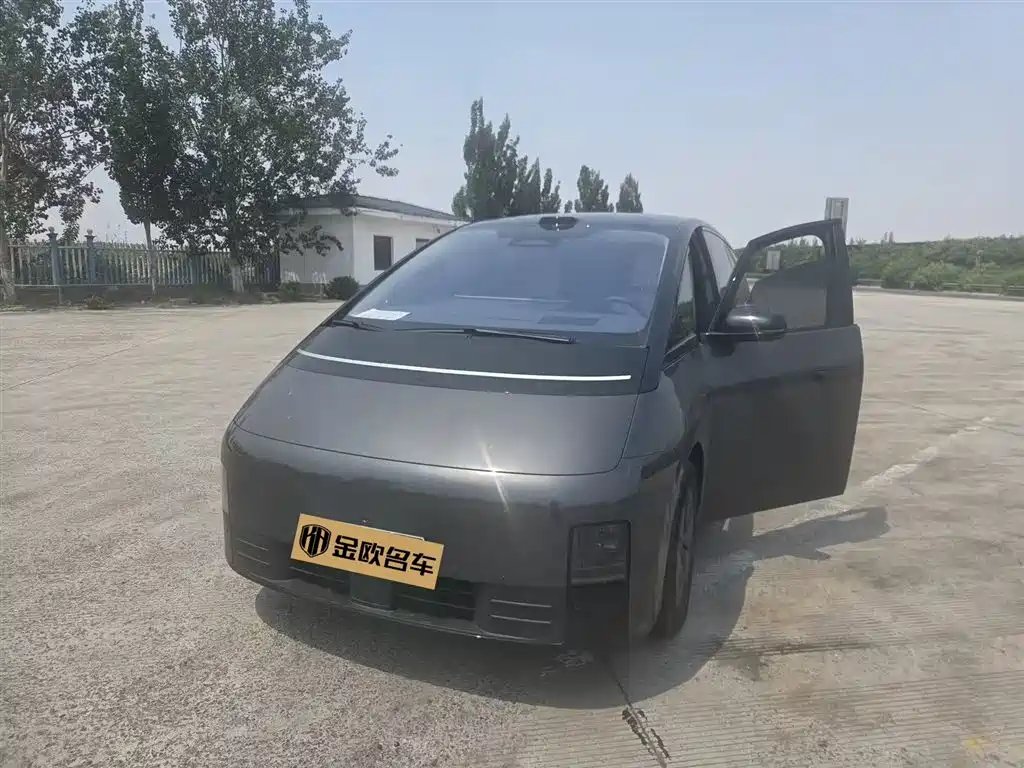 Li Auto Li MEGA 2025 — фото 1 из 5