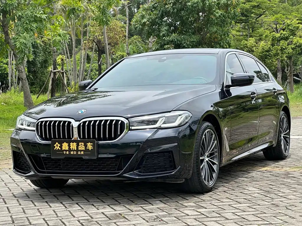 BMW 5 Series 2021