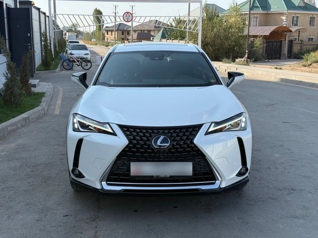 Lexus UX I 2024 — фото 1 из 5