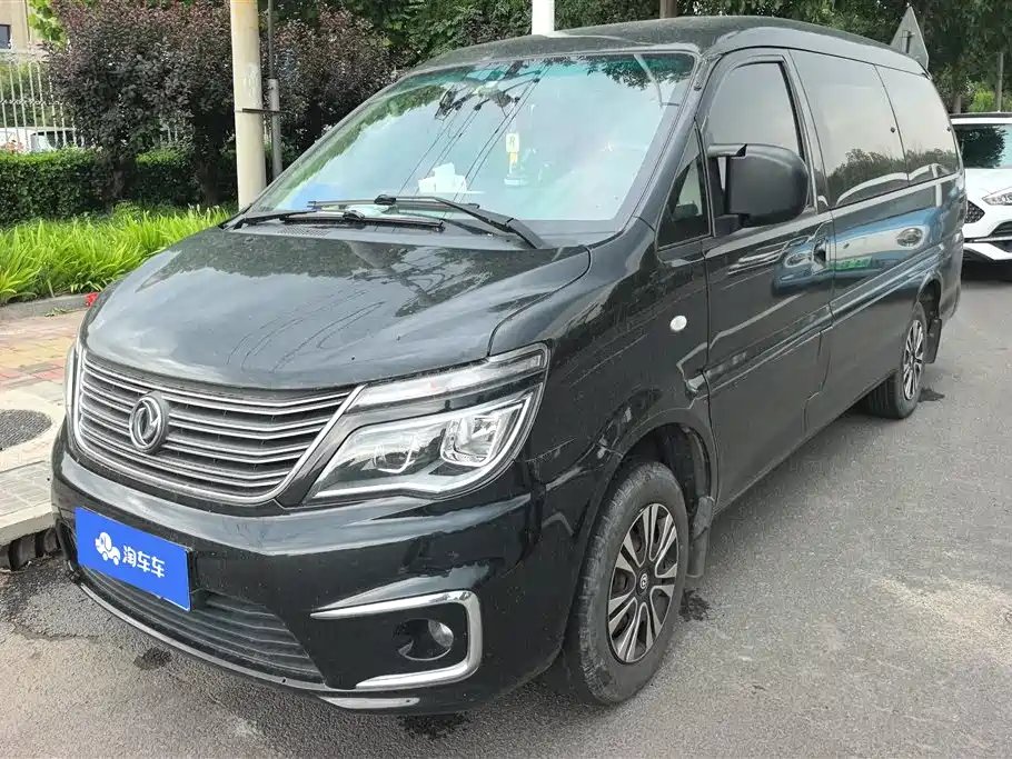 Fengxing Lingzhi 2019 — фото 1 из 5