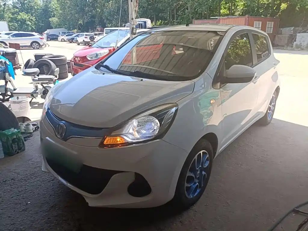 Changan EV 2019 — фото 1 из 5