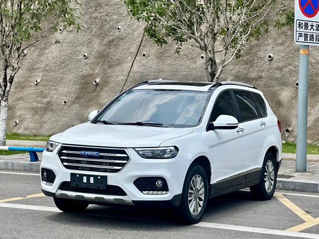 Haval H6 2018 — фото 1 из 5
