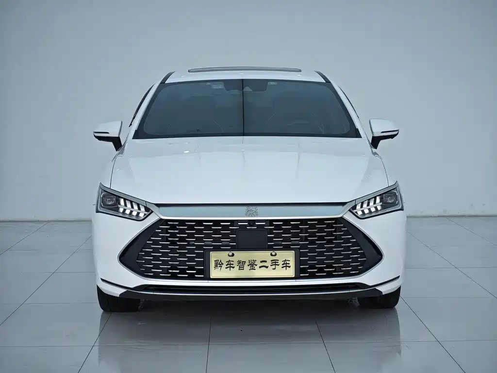 BYD Qin PLUS 2023 — фото 1 из 5