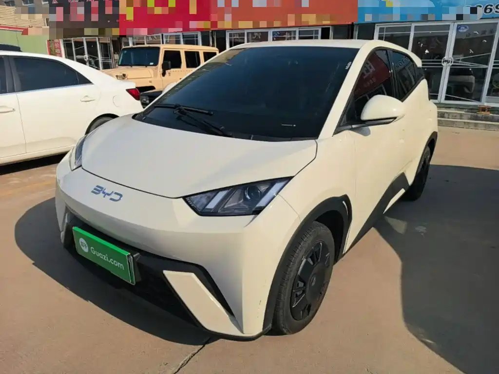 BYD Seagull 2024