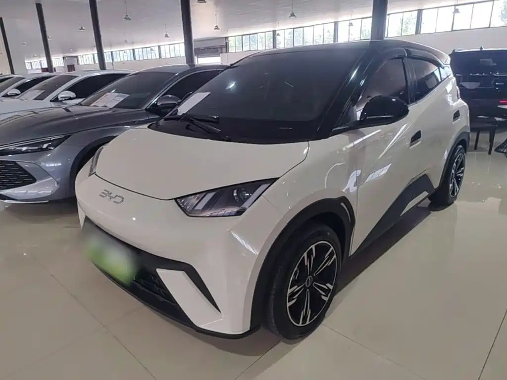 BYD Seagull 2024