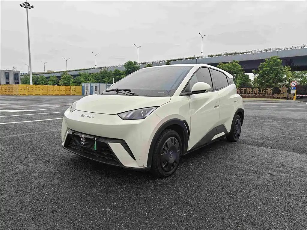 BYD Seagull 2024