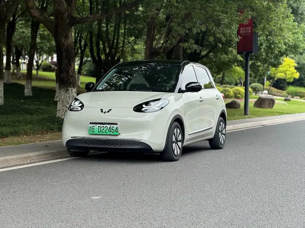 Wuling Bingo 2024