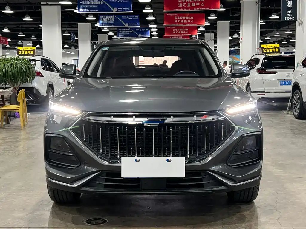 Oshan Oushang X5 2023 — фото 1 из 5