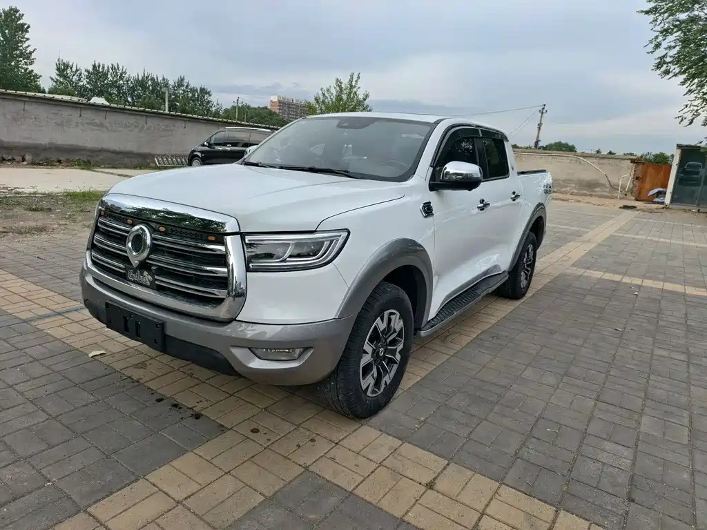 Great Wall Pao 2020 — фото 1 из 5
