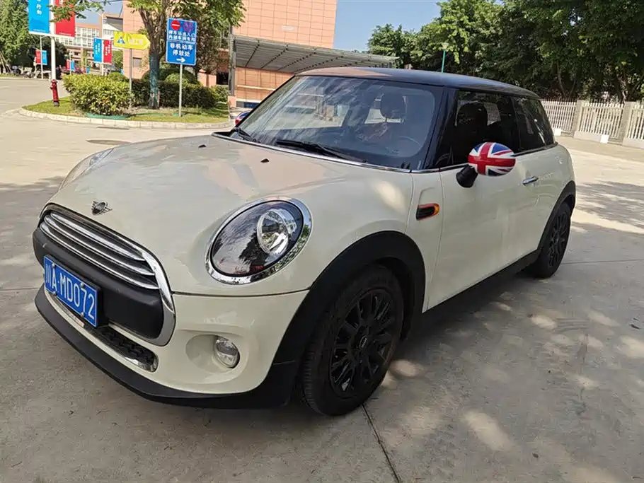 Mini Mini 2019 — фото 1 из 5