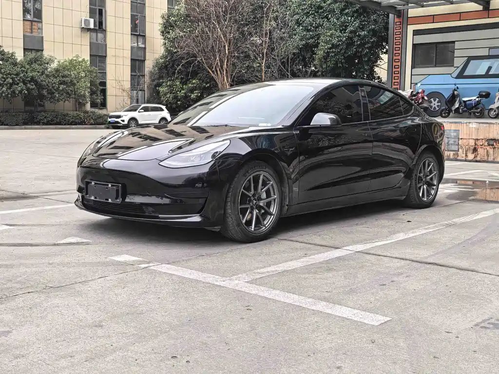 Tesla Model 3 2021 — фото 1 из 5