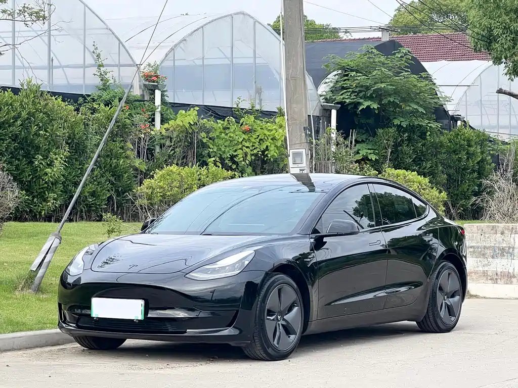 Tesla Model 3 2020 — фото 1 из 5