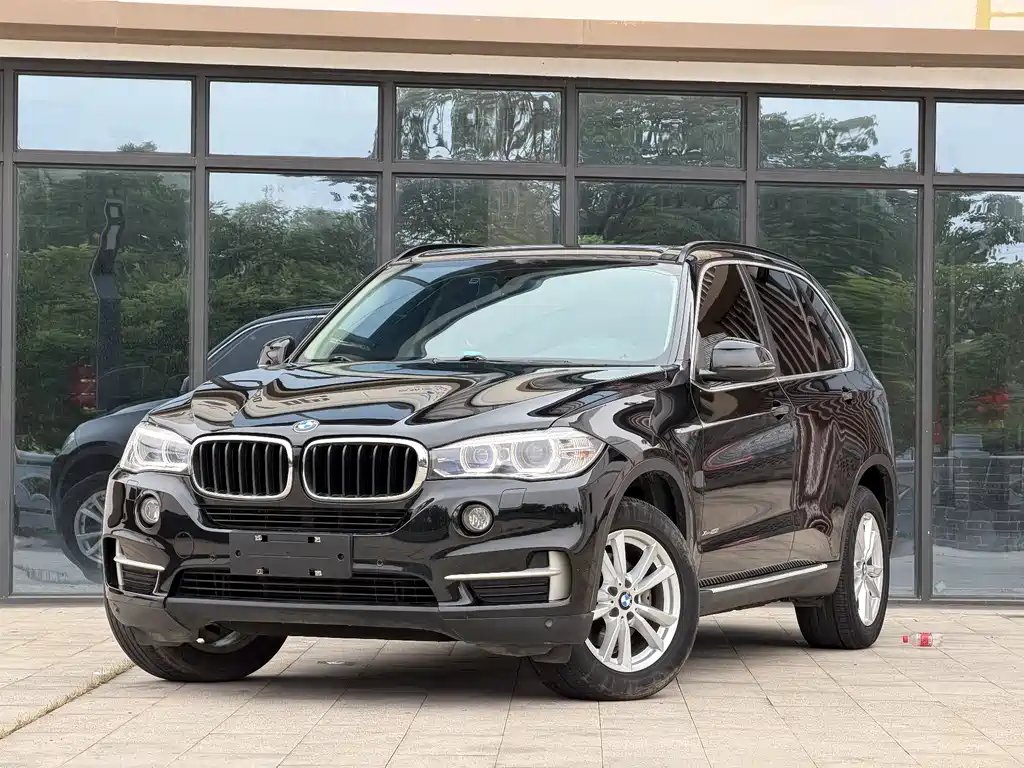 BMW X5 (Import) 2015 — фото 1 из 5