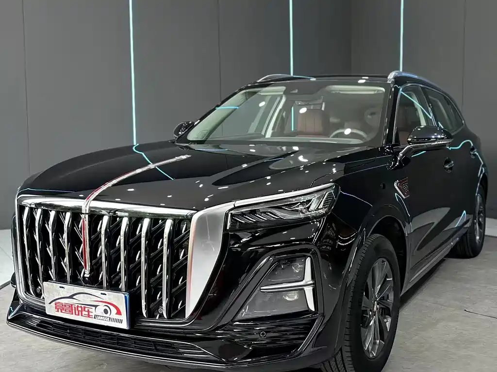 Hongqi Hongqi HS5 2023 — фото 1 из 5