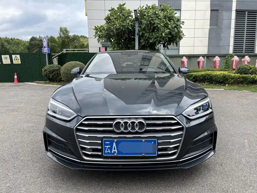 Audi A5 (Import) 2019 — фото 1 из 5