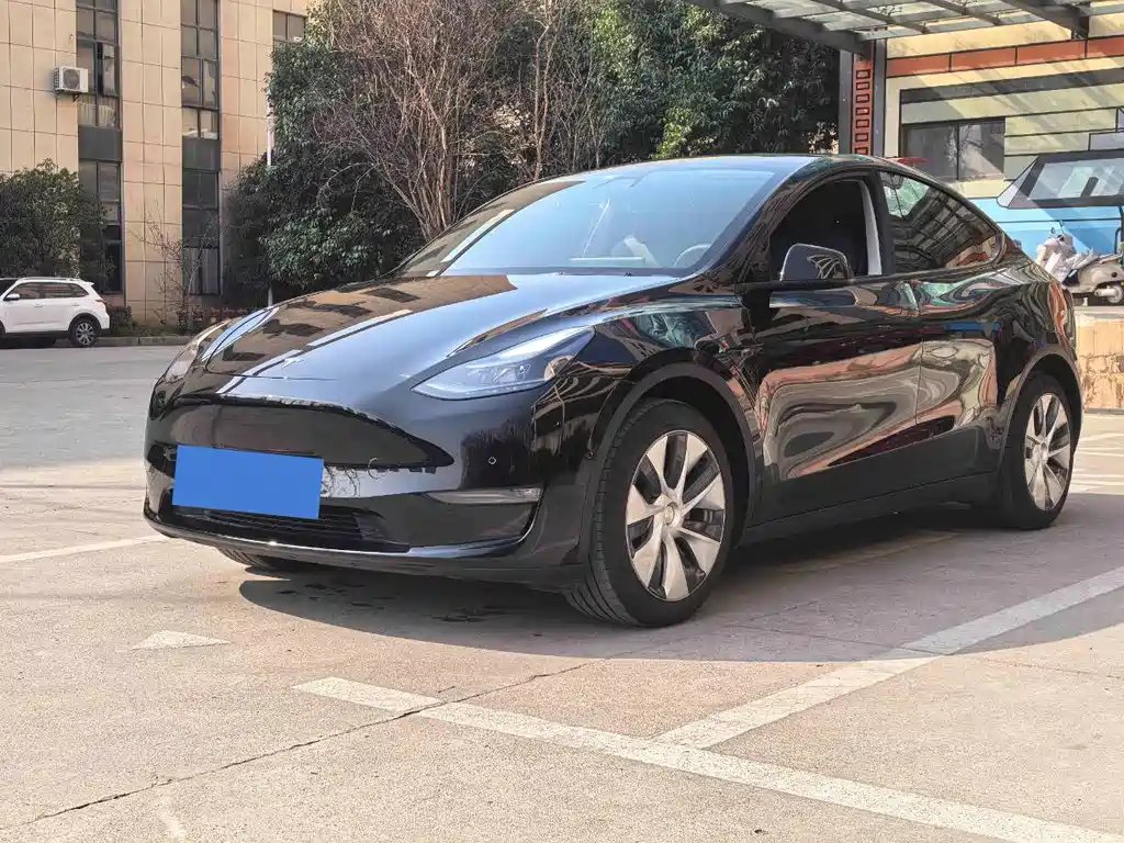 Tesla Model Y 2021 — фото 1 из 5