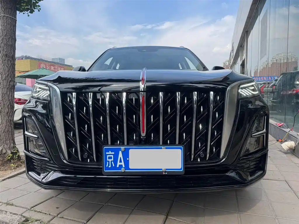 Hongqi Hongqi HS5 2023 — фото 1 из 5