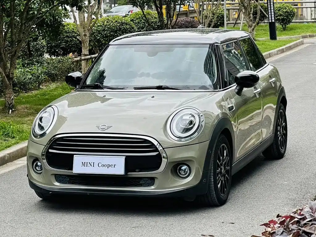 Mini Mini 2020 — фото 1 из 5