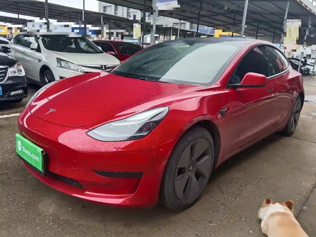 Tesla Model 3 2021 — фото 1 из 5