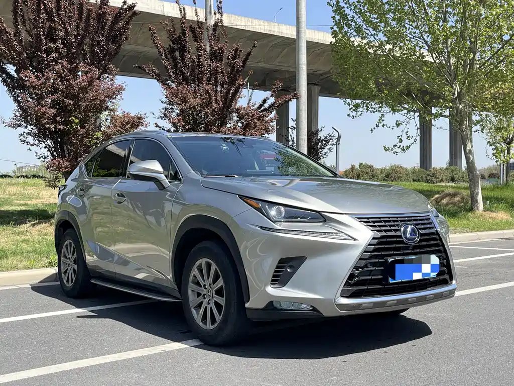 Lexus NX 2020 — фото 1 из 5