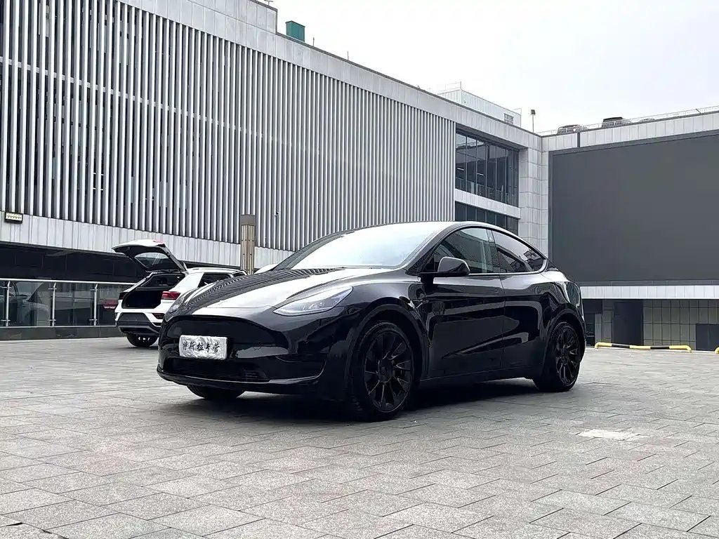 Tesla Model Y 2021 — фото 1 из 5